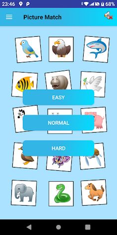 Picture Match - Memory Game - Screenshot 1