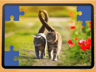 Cute cat puzzle game - Screenshot 3