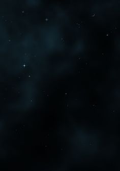 Bird Planet - Screenshot 3