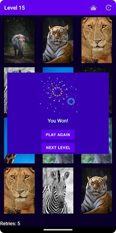MichMatch: The Secret Journey - Screenshot 2