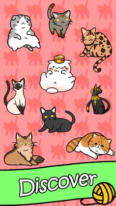 Cat Condo - Screenshot 3