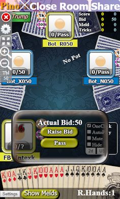 Pinochle Nidink - Screenshot 2