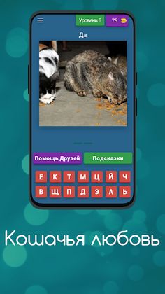 Викторина: Кошечки и Любовь - Screenshot 2