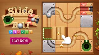 Unblock Ball - Block Puzzle - Screenshot 2