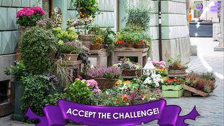 Find a Cat: Hidden Object - Screenshot 2