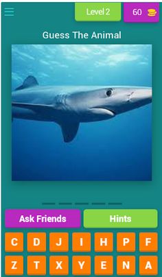 Aquatic Race - Screenshot 3