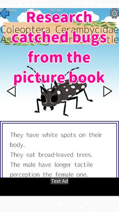 Find The Bugs! - Screenshot 4