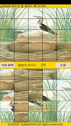 ttp08 - Screenshot 3