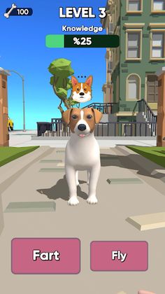 Pet Master 3D - Screenshot 3