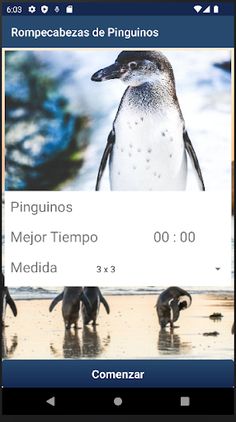 Rompecabezas de Pinguinos - Screenshot 3