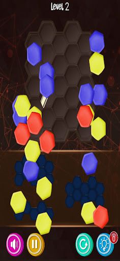 HexaPuzzle Match - Screenshot 2