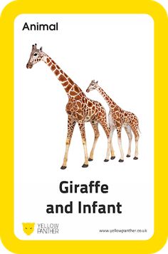 Education AR - Screenshot 3