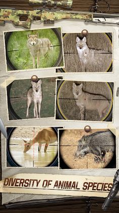 Hunting Sniper:Wild Hunt - Screenshot 1