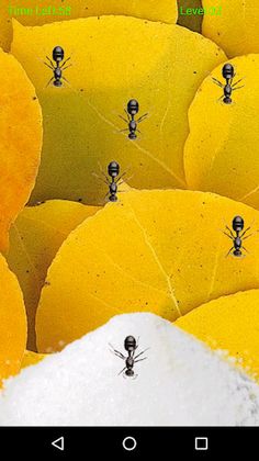 Ant Smasher- 2018 - Screenshot 3