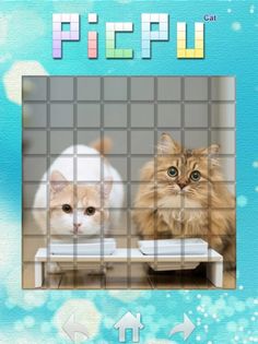 PicPu - Screenshot 2