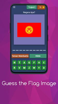 Guess the Flag Image - Screenshot 3