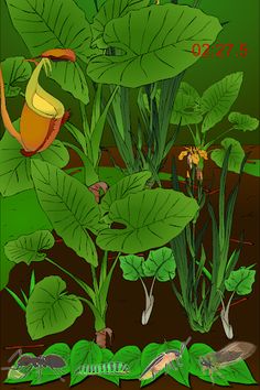 Hidden Insects - Screenshot 1