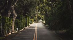 Misty forests - Screenshot 4