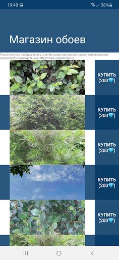 Игра по обучению английскому V - Screenshot 2