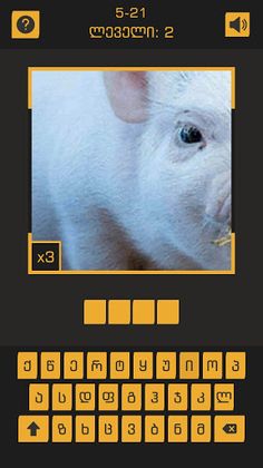 ფოტო ახლოდან - Screenshot 2