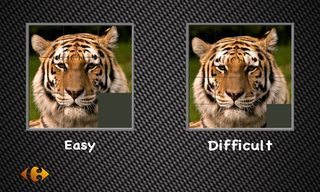 Puzzle Blocks - Screenshot 2