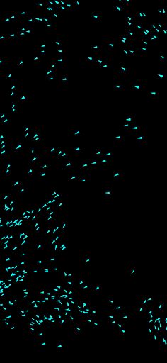 Boids 2D – flock simulation - Screenshot 3