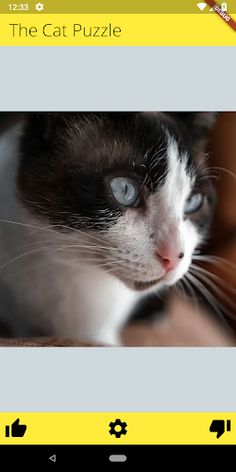 The Cat Puzzle - Screenshot 4