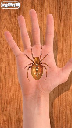 Spider on My Hand Joke - Screenshot 4