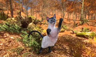 Talking Blue Siamese Cat - Screenshot 3