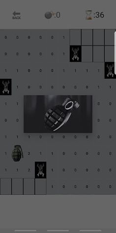 Minesweeper Evolution - Screenshot 3