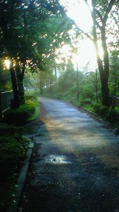 D45m_Test_DF_05 - Screenshot 2