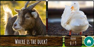 Animal Round - Screenshot 1