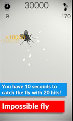 Catch the Fly - Screenshot 2