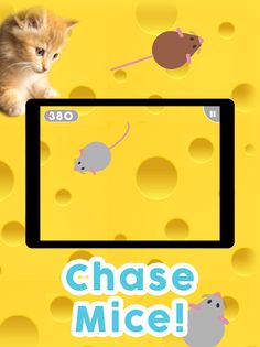 Games for Cats! - Screenshot 2