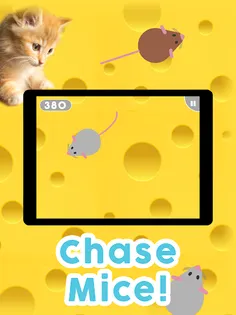 Games for Cats! - Screenshot 2