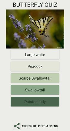 Quiz : What Butterfly Are You  - Screenshot 2