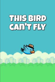 This Bird Can't Fly - Screenshot 1