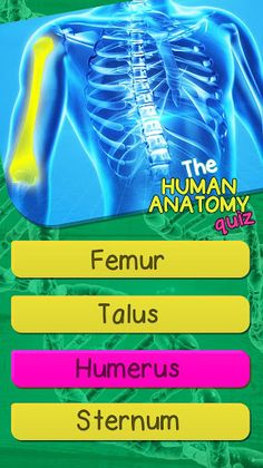 The Human Anatomy Quiz - Screenshot 1