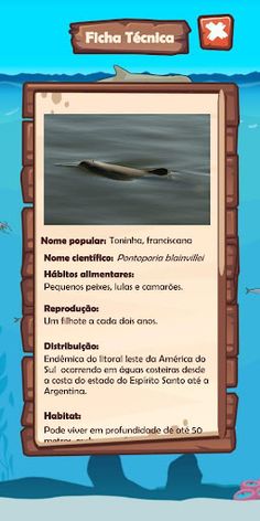 Toninha's Life - Screenshot 3