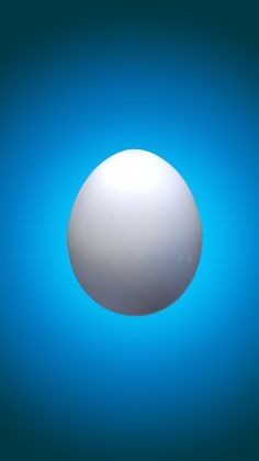 Hatching Master - Screenshot 2