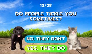 Test what cat or dog am I? Ani - Screenshot 2