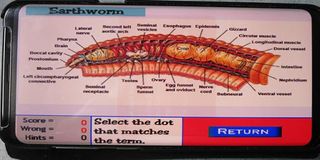 Label that Diagram - Garden In - Screenshot 3