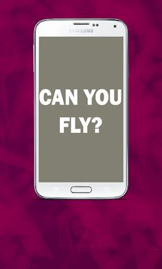 Fly? - Screenshot 2