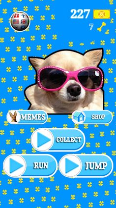 Dog Meme Quest - Run & Jump - Screenshot 1