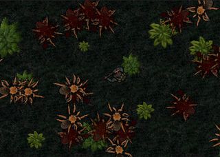 Spider Splatter - Screenshot 3