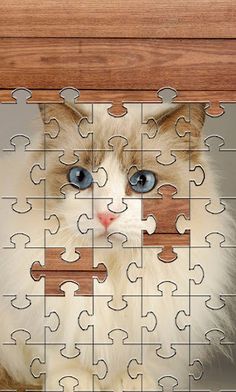 Cats Jigsaw Puzzles Games - Screenshot 2