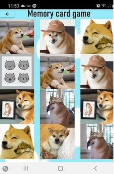 Cheems Challenge: Memory Games - Screenshot 3