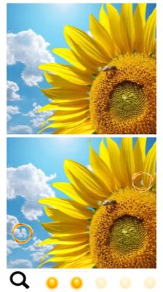 Spot a Difference Sun & Bees - Screenshot 1