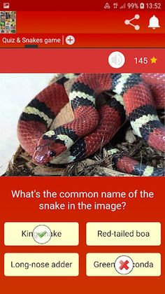 QuizzLand. Quiz & Snakes game - Screenshot 2