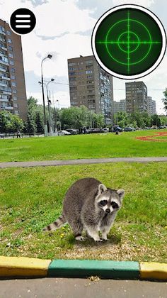 Stray Animals. Real Catch Game - Screenshot 1